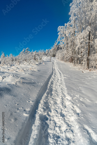 Winter mountain scenery with snow covered hiking trail, frozen trees and clear sky in Kysucke Beskydy mountains on slovakian - polish borders photo