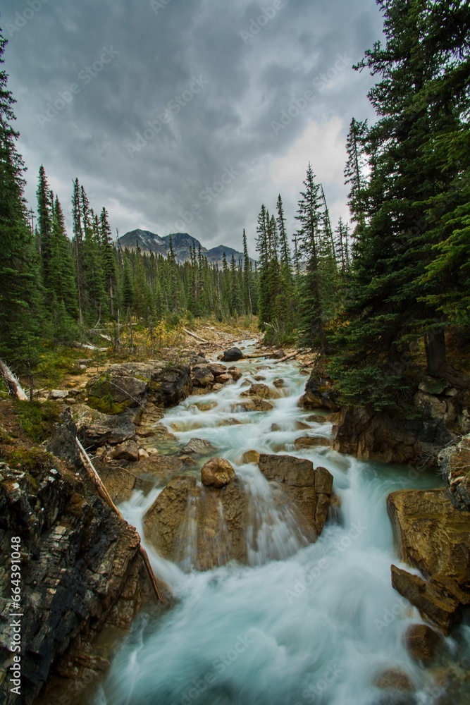 Canadian nature Canadian nature