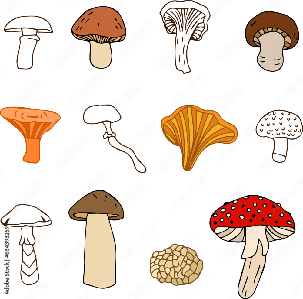 set of different types of mushrooms