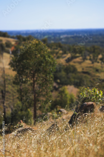 autumn in the australian mountains