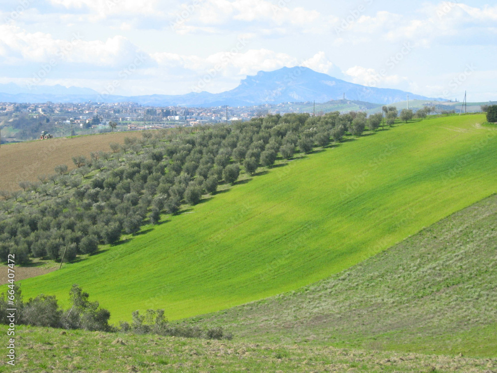 Obraz premium Hills