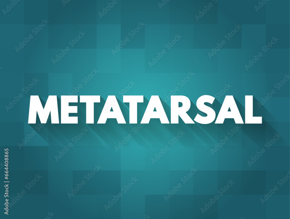 Metatarsal - group of five long bones in the foot, text concept background