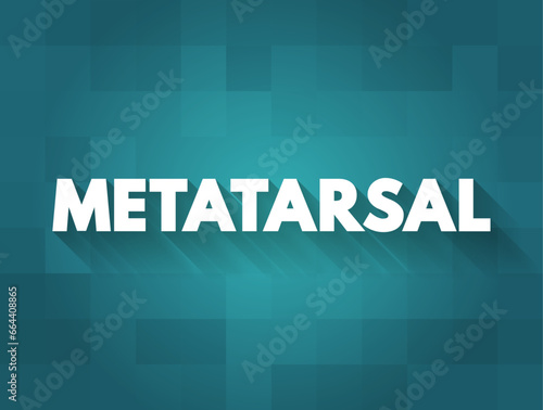Metatarsal - group of five long bones in the foot, text concept background