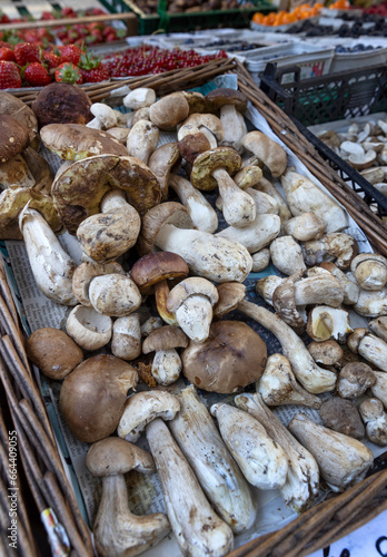 Fungus and Mushroom at the market. City of Wiesbaden Germany Hesse.