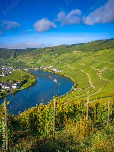 Piesport an der Mosel mit Schiff photo