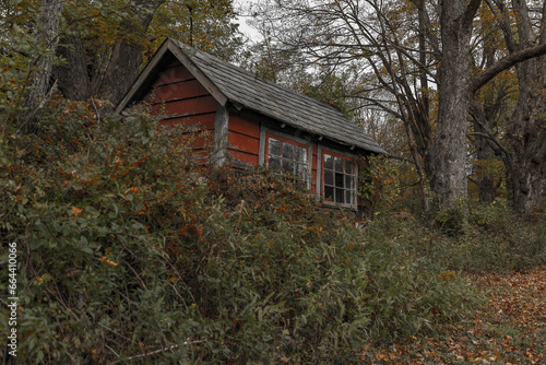 Abandoned shed in the Delaware Water Gap National Recreation Area