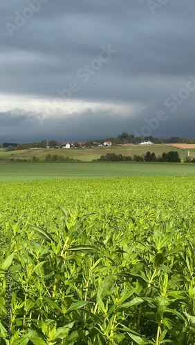 Ein wunderschöner Blick über Felder in Deutschland. Regen, Unwetter, dunkle Wolken, Herbst