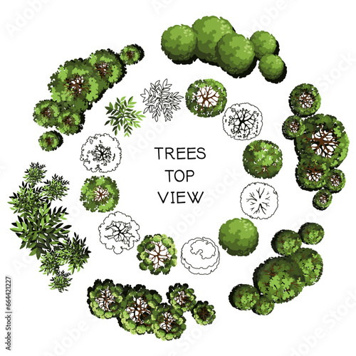 Tree for architectural floor plans. Entourage design. Various trees, bushes, and shrubs, top view for the landscape design plan. Vector illustration