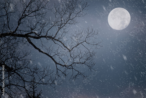 Fotografie Winter snow falls lit by moonlight at night