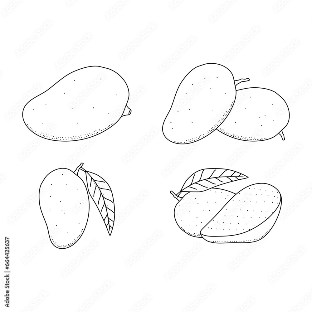 Vector doodle elements set of mango fruit. Hand drawn outline of mango fruit isolated on white background Vector doodle elements set of mango fruit. Hand drawn outline of mango fruit isolated on white background