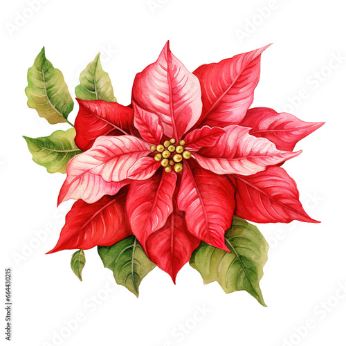 Poinsettia Flower For Christmas Event. Watercolor Style. AI Generated