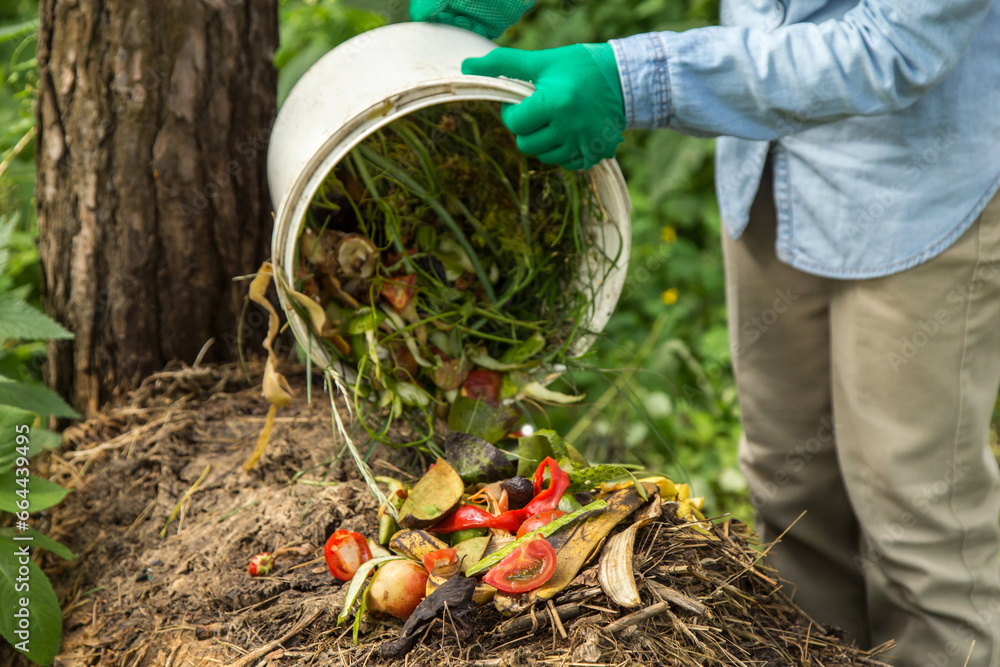 Compost heap pile with bio waste. Farmer hands put weeds grass plants