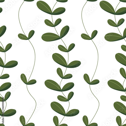 Seamless pattern with vertical branches of green leaves. Pattern with branches and leaves of silver dollar eucalyptus isolated on white background. Wallpaper, fabric, wrapping paper, scrapbooking.
