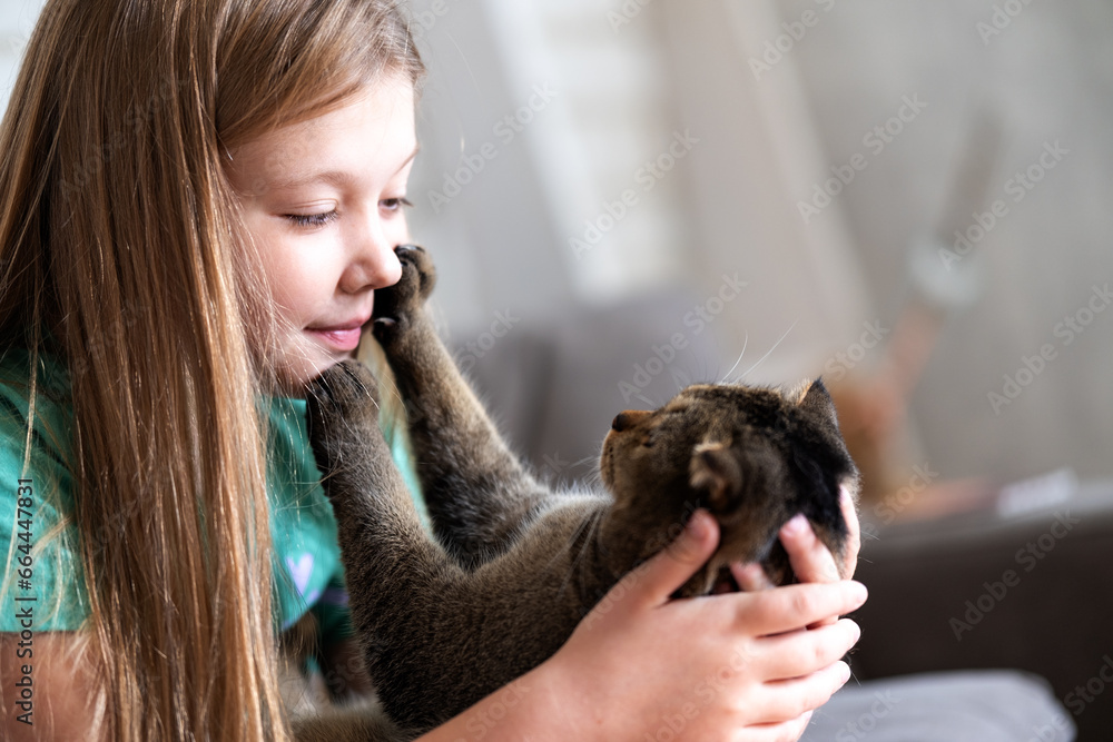A domestic cat sits on the lap of its owner, who is sitting on the sofa A domestic cat sits on the lap of its owner, who is sitting on the sofa