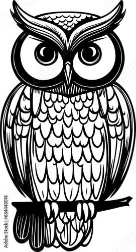 owl cartoon