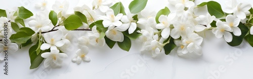 Jasmine flowers on white surface. © MSTASMA