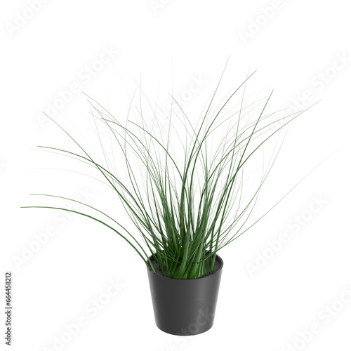 3D rendering illustration of a pot plant