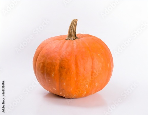 pumpkin on a white background