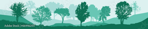 Forest  park  alley. Landscape of isolated trees. Silhouette vector in green shades