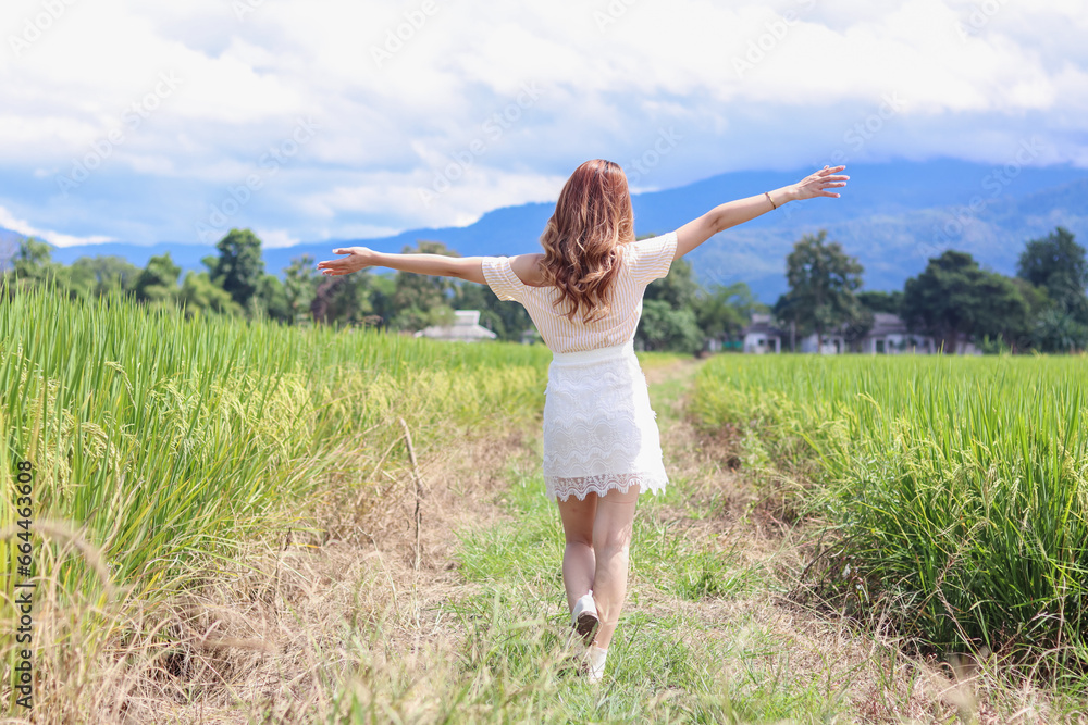 Behind scenes of a beautiful female tourist having fun walking through the bright green rice fields in the rainy season and the beautiful rice fields still being grown organically. Copy Space for text Behind scenes of a beautiful female tourist having fun walking through the bright green rice fields in the rainy season and the beautiful rice fields still being grown organically. Copy Space for text