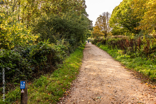 Hampstead Heath is an ancient heath in London, spanning 320 hectares. This grassy public space sits astride a sandy ridge, one of the highest points in London.