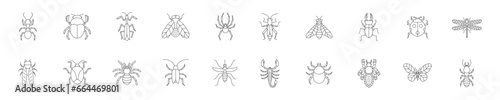 Set of icons with insects in linear style. Vector illustration.