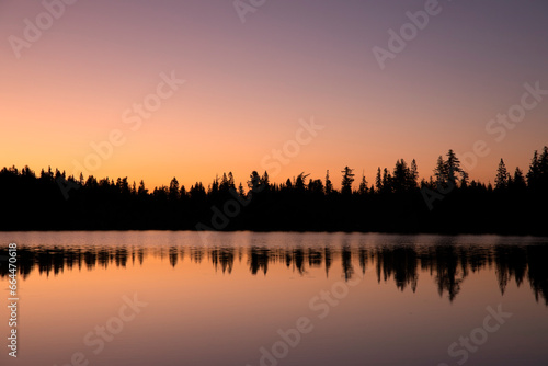 forest silhouette reflected in big lake at sunrise