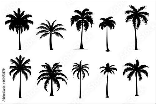 Set of tropical palm tree silhouette 