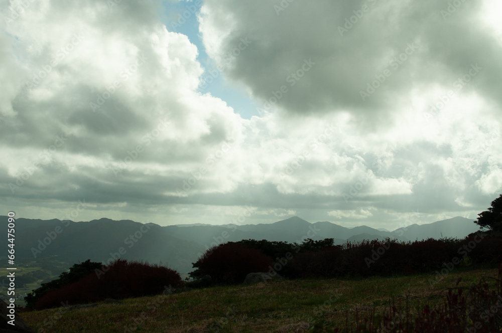 Obraz premium clouds over the forest