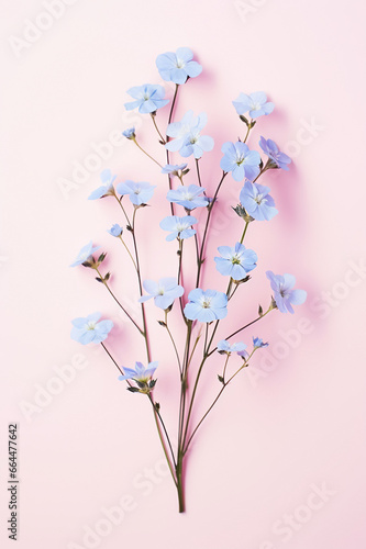 Pastel-colored and creative bouquet of flowers  perfect for a vibrant and fresh summer decoration.