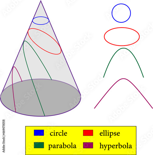 Types of conic sections :circle , ellipse , parabola , hyperbola .Vector illustration