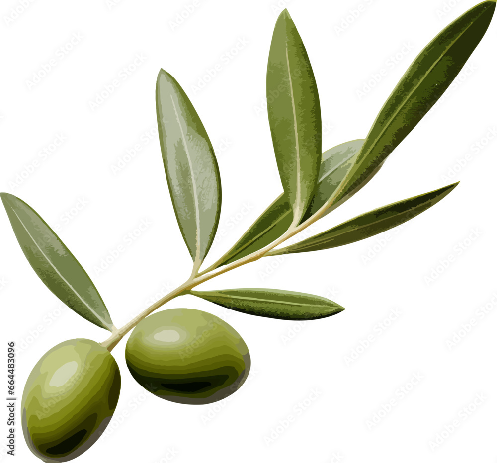 Olive leaves clip art