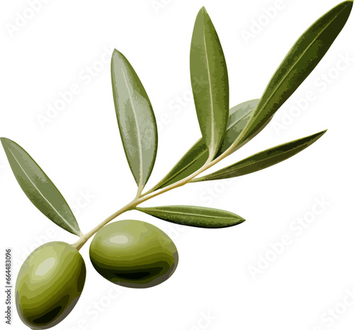 Olive leaves clip art