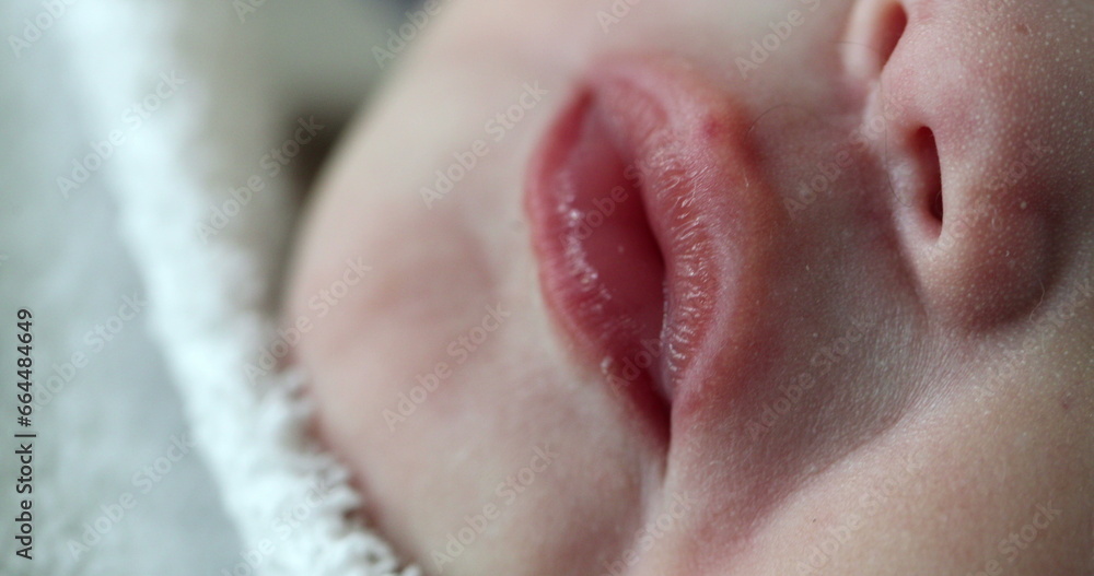 Naklejka premium closeup of newborn baby mouth in macro