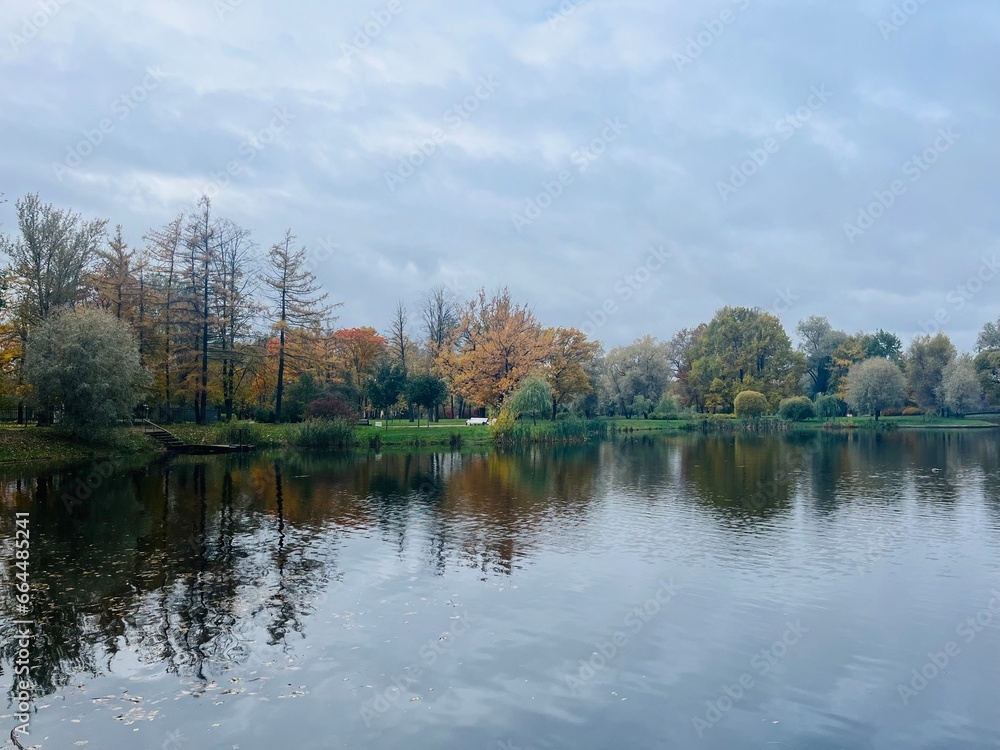 autumn trees reflection on the pond surface in the park