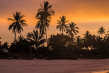 Silhouette of palm trees against orange sunset sky. Beautiful sunrise at Zanzibar, Tanzania