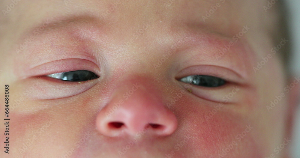 Close-up of newborn baby eyes and face Close-up of newborn baby eyes and face