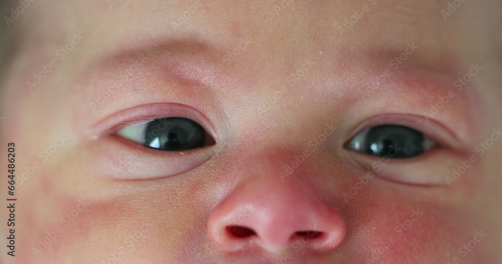 Close-up of newborn baby eyes and face Close-up of newborn baby eyes and face