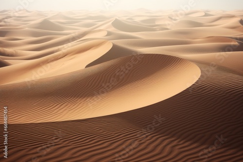 Undulating waves of textured sand dunes.