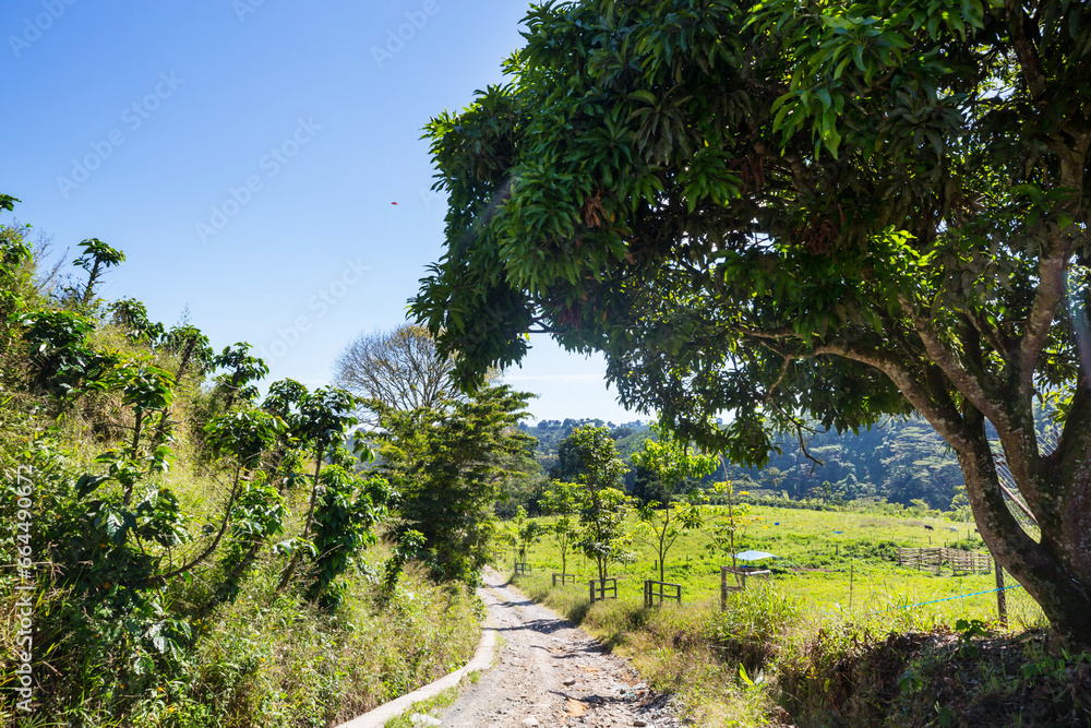 Rural landscapes in Colombia Rural landscapes in Colombia