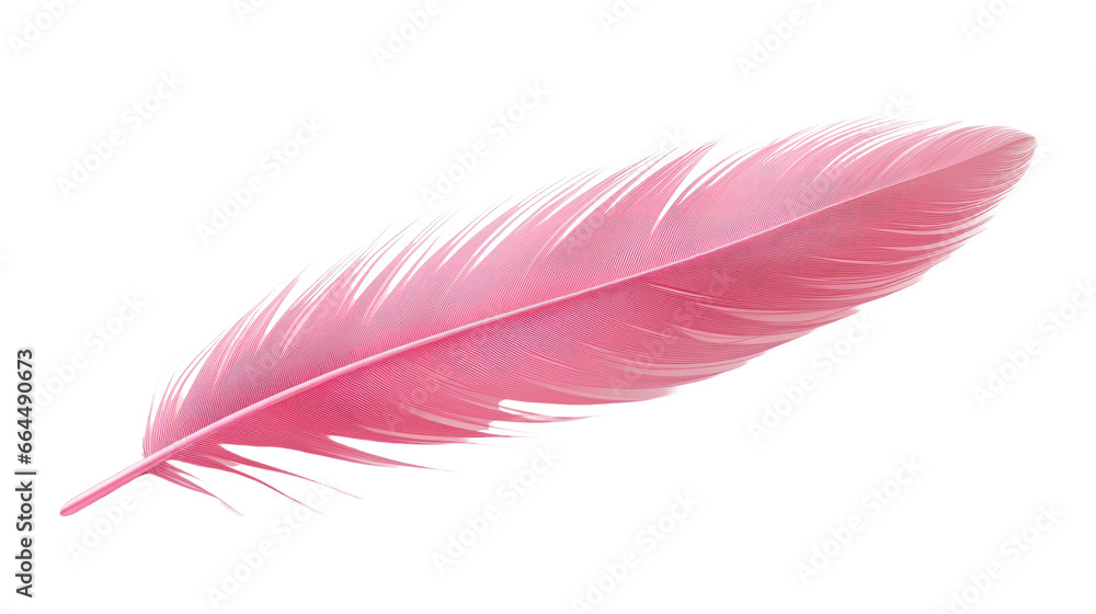Pink bird feather on transparent background Pink bird feather on transparent background