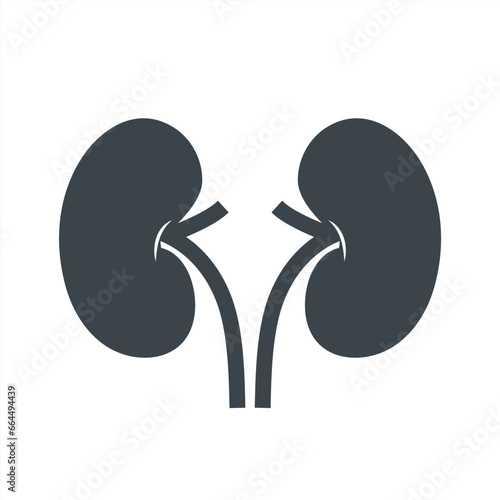 kidney icon concept design stock illustration.