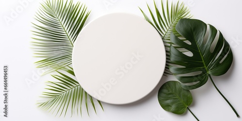 Empty white round coaster and exotic leaves on a white background.