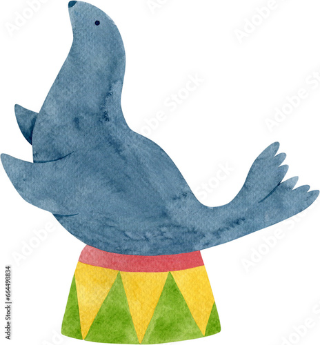 Fur seal watercolor illustration.