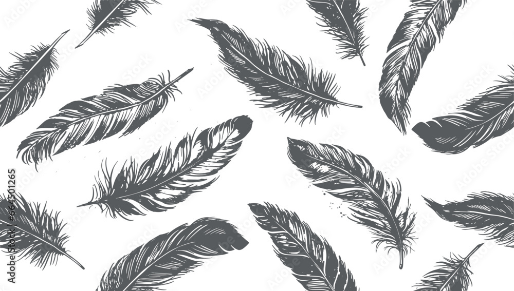 Feather Hand drawn on white background
Feather Hand drawn on white background