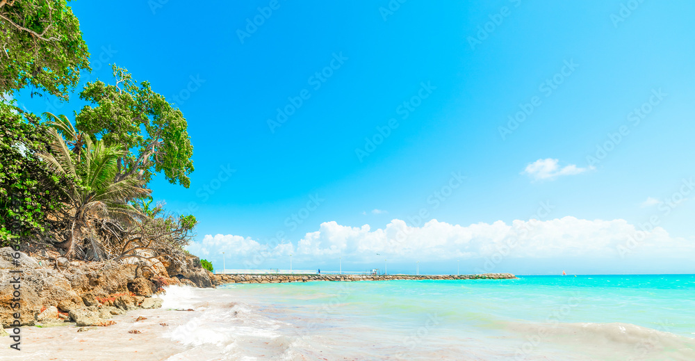 Turquoise water in La Datcha beach in Guadeloupe Turquoise water in La Datcha beach in Guadeloupe