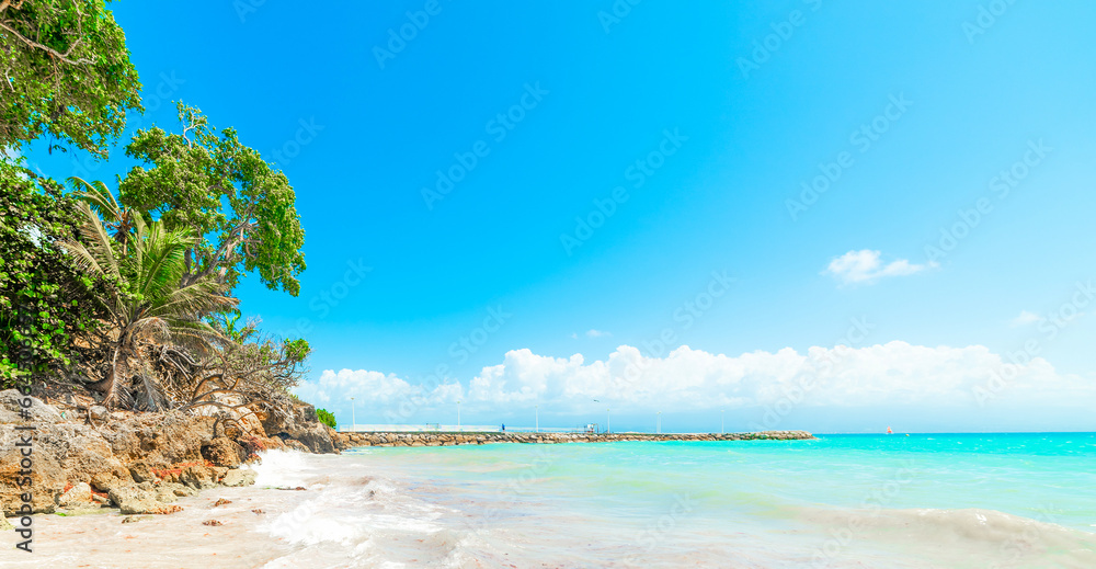 Turquoise water in La Datcha beach in Guadeloupe