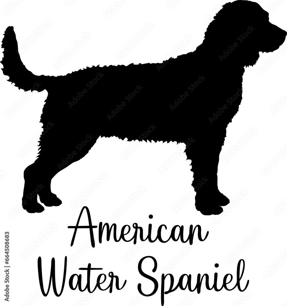 American Water Spaniel Dog silhouette Dog breed vector