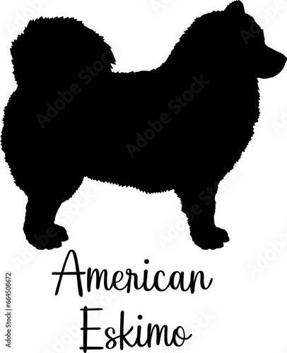  American Eskimo Dog silhouette Dog breed vector