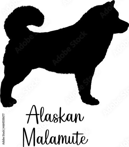 Alaskan Malamute Dog silhouette Dog breed vector